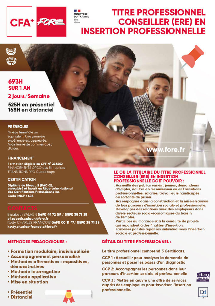 Titre Professionnel Conseiller En Insertion Professionnelle Afpa