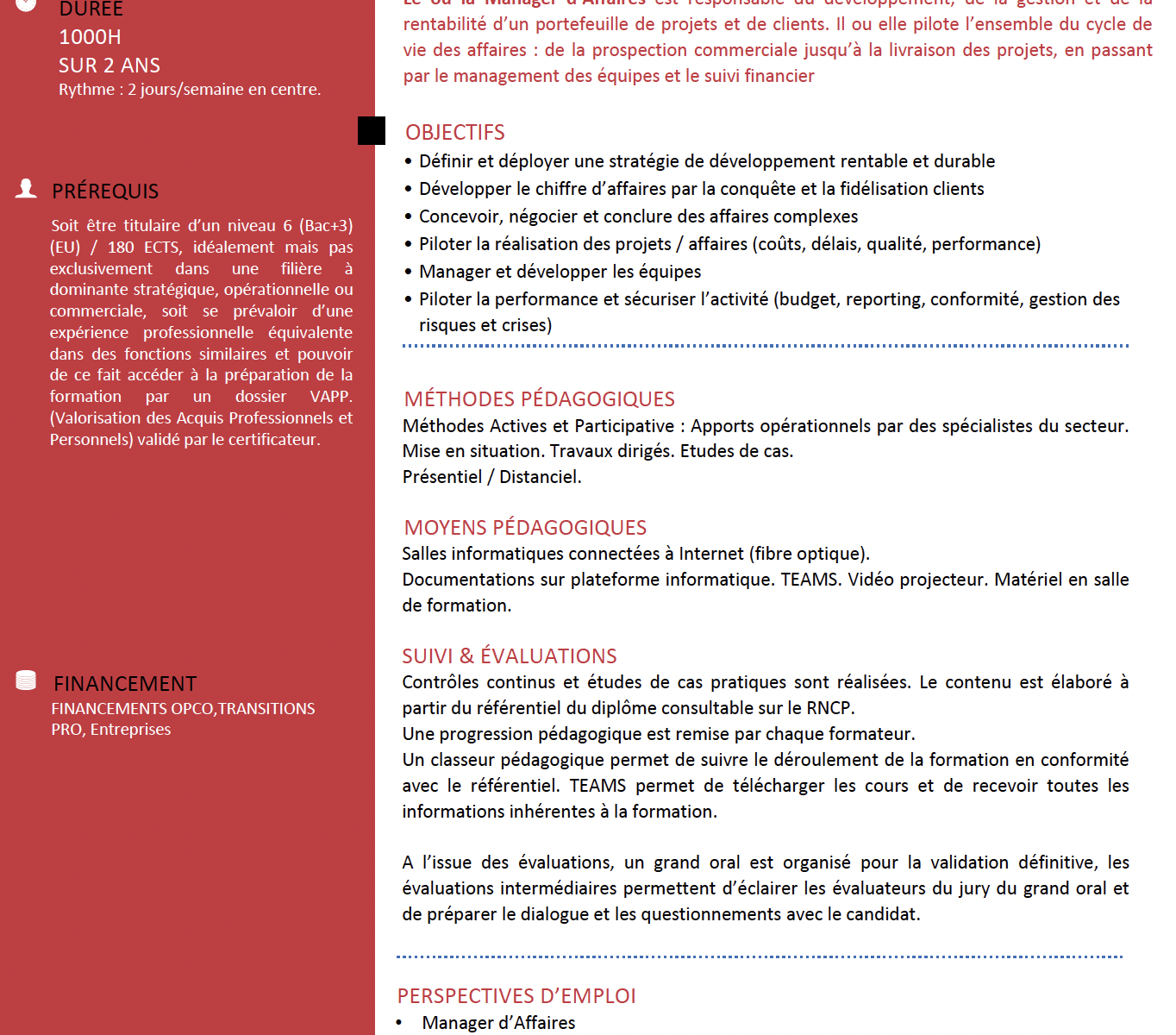 Mastère Manager d’Affaires – formation niveau 7 en apprentissage