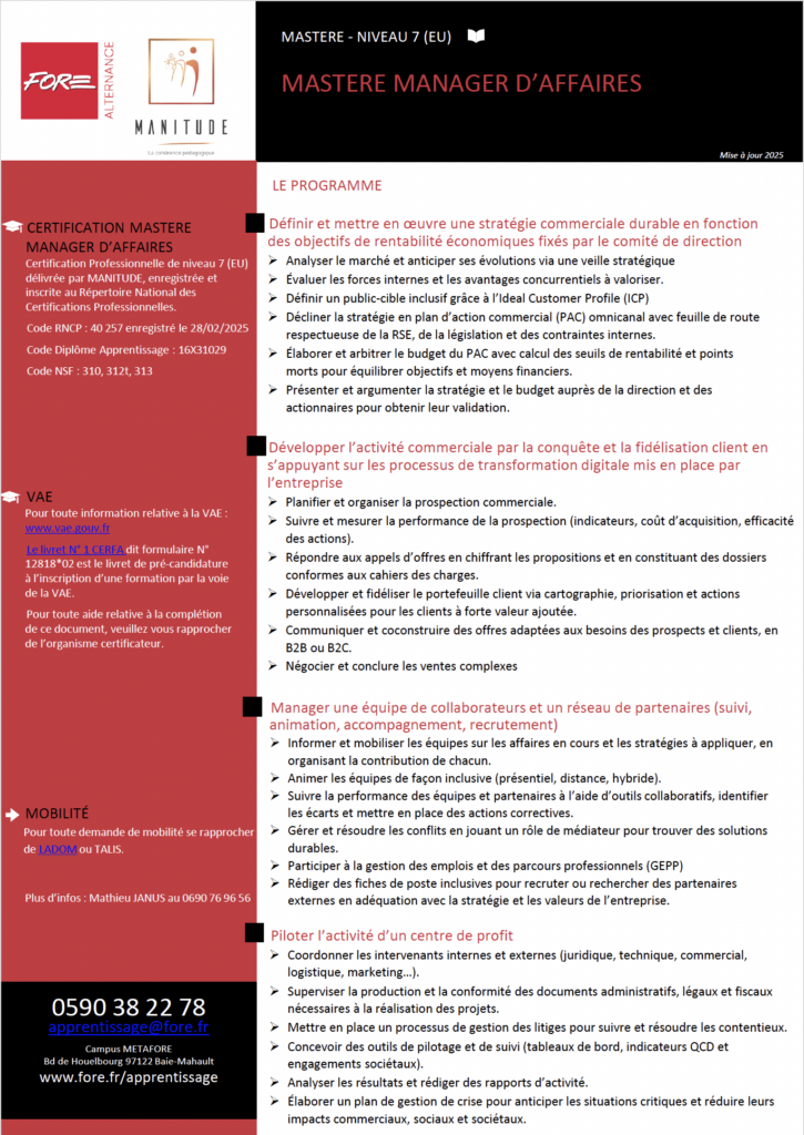 Mastère Manager d’Affaires – formation niveau 7 en apprentissage